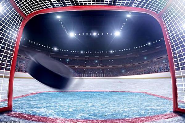 北京体育大学校内培训(图1)