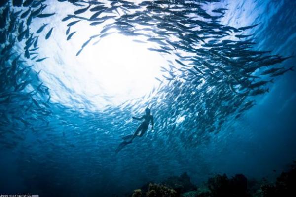 体育培训美团推广案例及策略解析(图1)