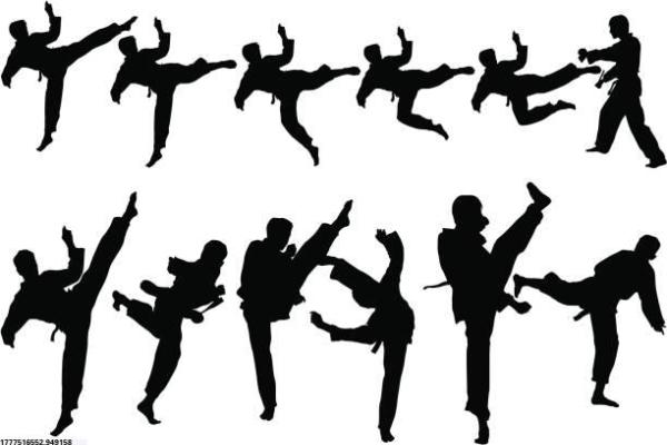 体育培训组织框架结构(图1)